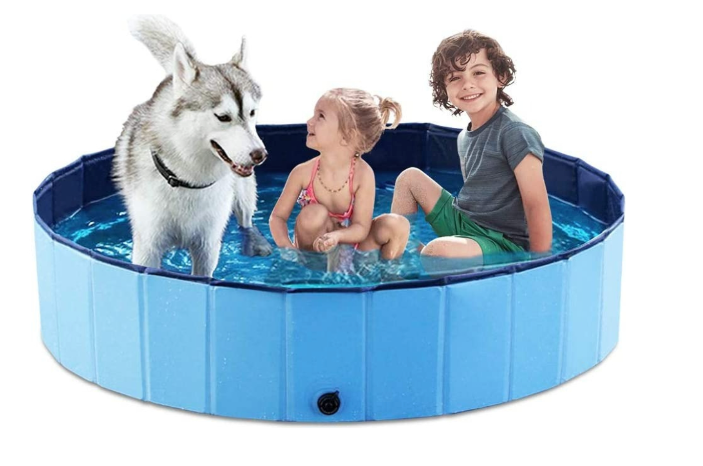 Piscina Plegable para Peludos y niños!