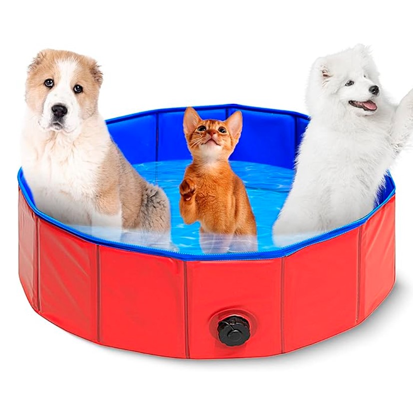 Piscina Plegable para Peludos y niños!