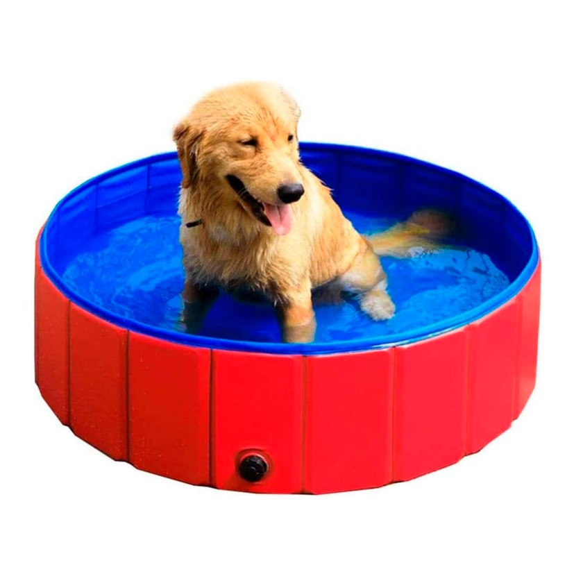 Piscina Plegable para Peludos y niños!